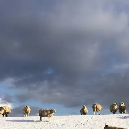 Tief 10 Mit Internet 101 Apartment Schillig