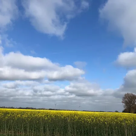 Apartment Tief 10 Mit Internet 101