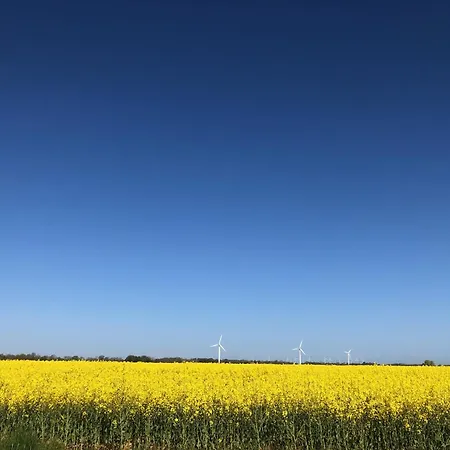 Apartment Tief 10 Mit Internet 101 Schillig