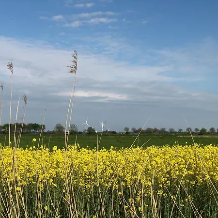 Apartment Tief 10 Mit Internet 101 Schillig