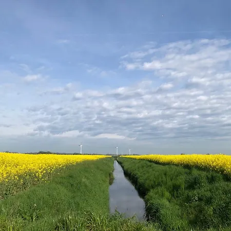 Tief 10 Mit Internet 101 アパート *