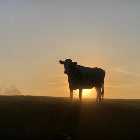 Tief 10 Mit Internet 101 *