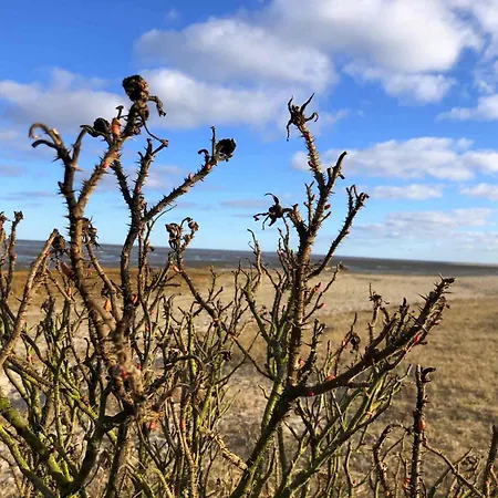 Apartment Tief 10 Mit Internet 101 *