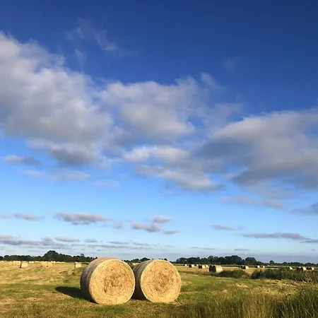 Apartment Tief 10 Mit Internet 101 Schillig