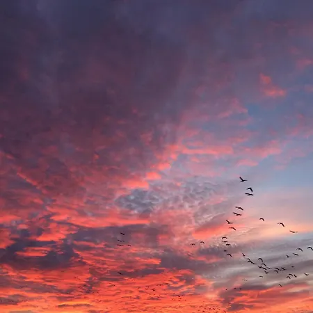 Tief 10 Mit Internet 101 *