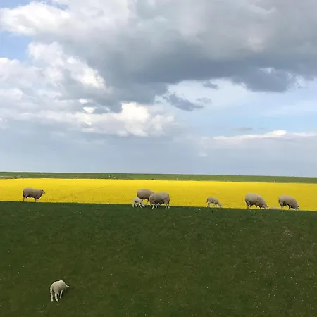 Tief 10 Mit Internet 101 Schillig