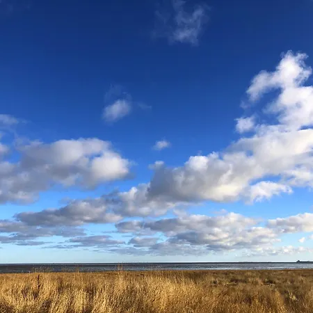 アパート Tief 10 Mit Internet 101 シリヒ